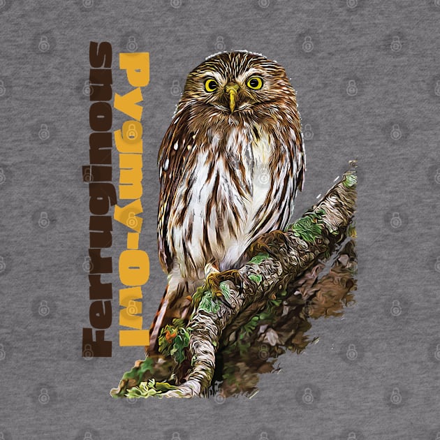 Ferruginous Pygmy-Owl color by Ripples of Time